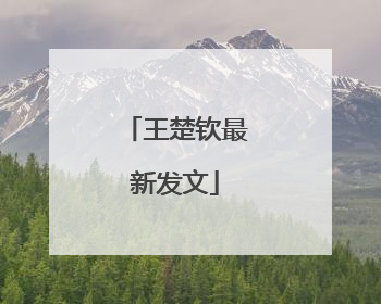 王楚钦最新发文